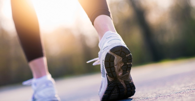 Brain Based Chiropractic Care